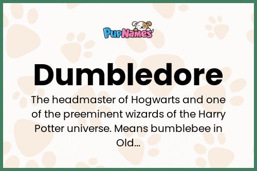 Dumbledore dog name meaning
