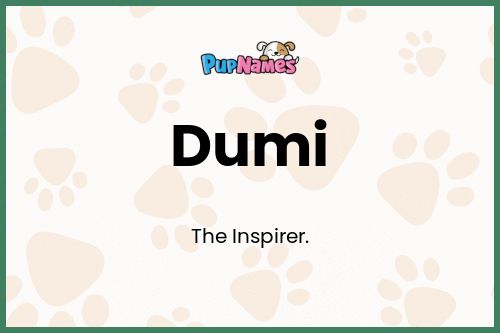 Dumi dog name meaning