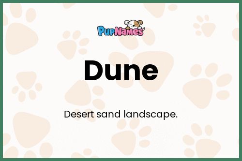 Dune dog name meaning