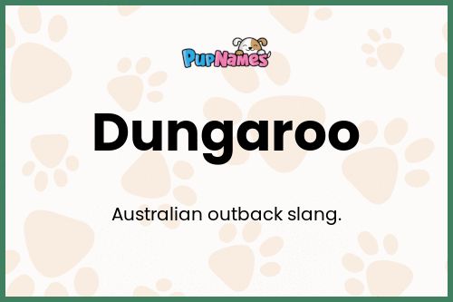 Dungaroo dog name meaning