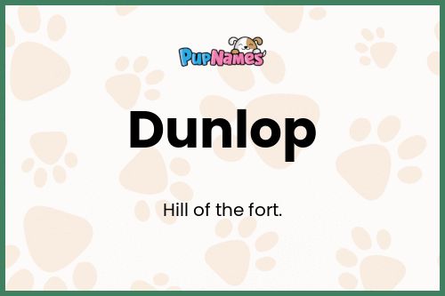 Dunlop dog name meaning