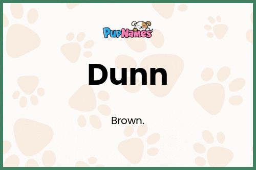 Dunn dog name meaning