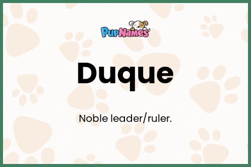 Duque dog name meaning