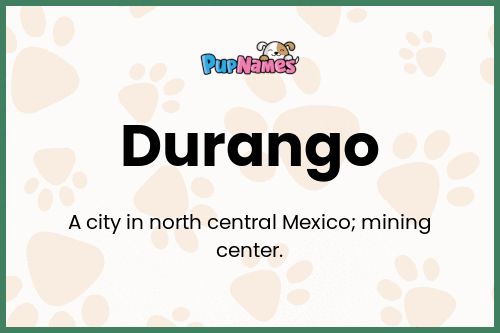 Durango dog name meaning