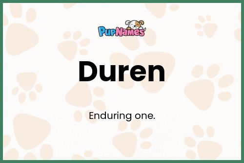 Duren dog name meaning
