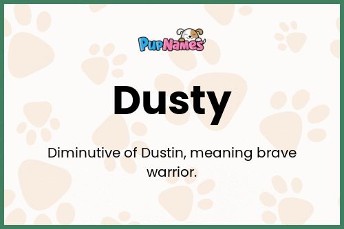 Dusty dog name meaning