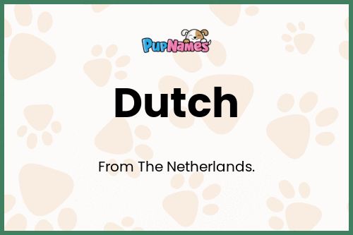 Dutch dog name meaning