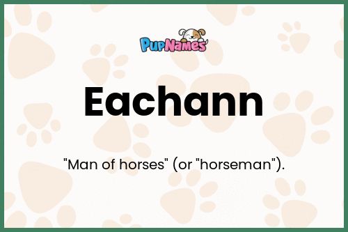 Eachann dog name meaning