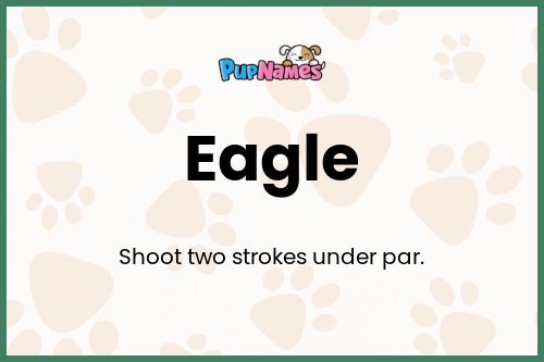 Eagle dog name meaning