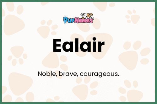 Ealair dog name meaning