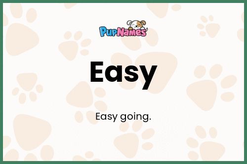 Easy dog name meaning