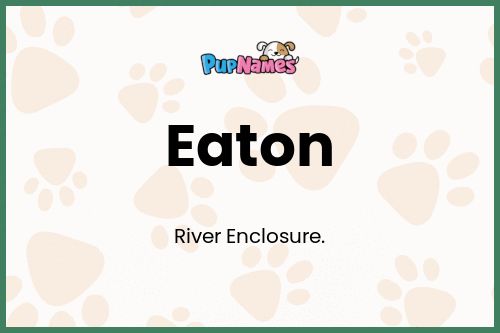 Eaton dog name meaning