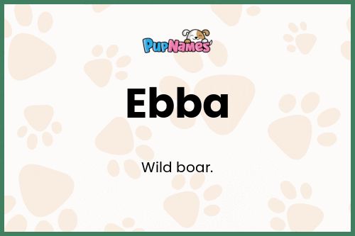 Ebba dog name meaning