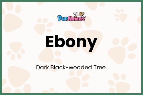 Ebony dog name meaning