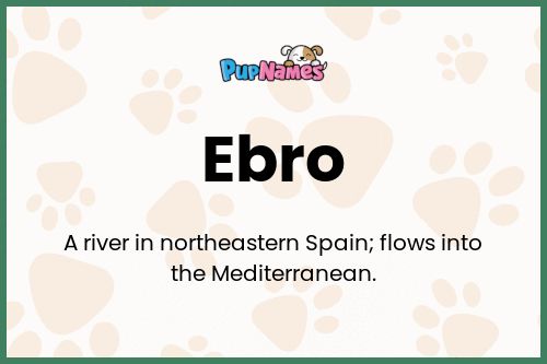 Ebro dog name meaning