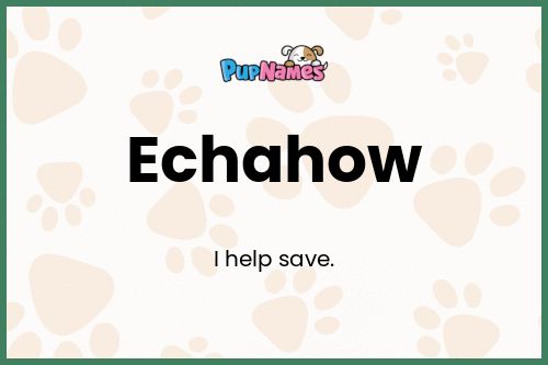 Echahow dog name meaning