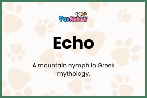 Echo dog name meaning