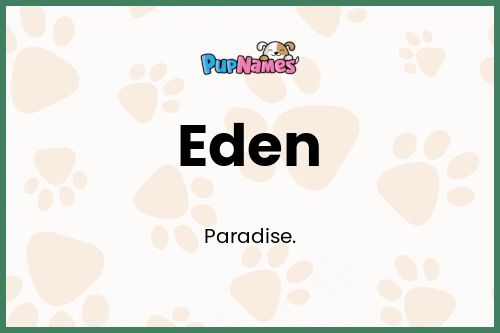 Eden dog name meaning