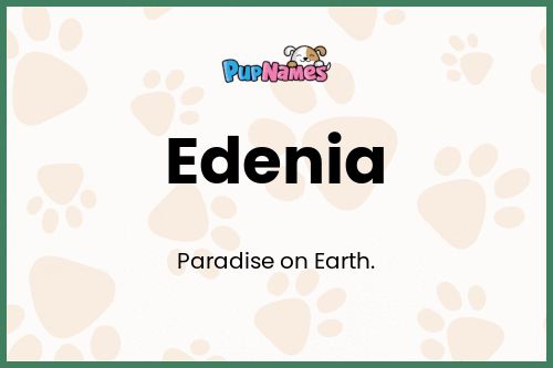 Edenia dog name meaning