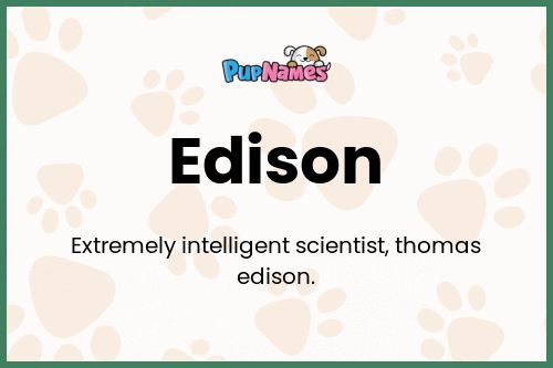 Edison dog name meaning