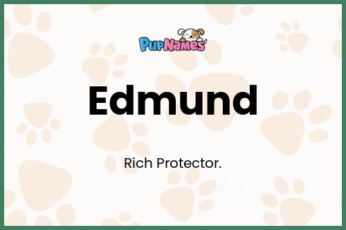 Edmund dog name meaning