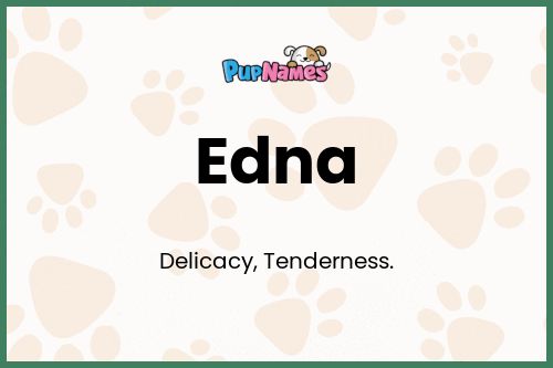 Edna dog name meaning