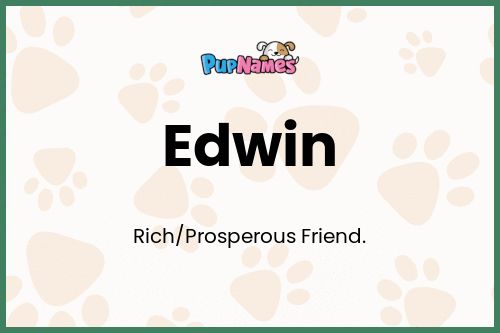 Edwin dog name meaning