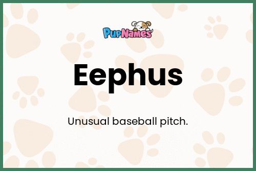 Eephus dog name meaning