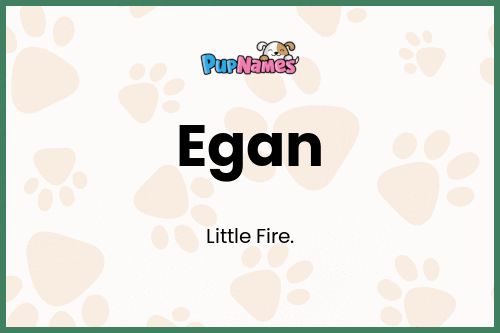 Egan dog name meaning