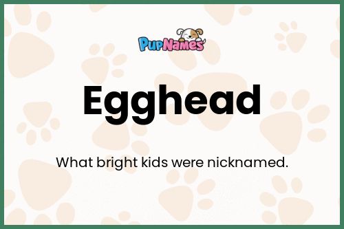 Egghead dog name meaning