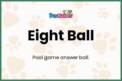 Eight Ball dog name meaning