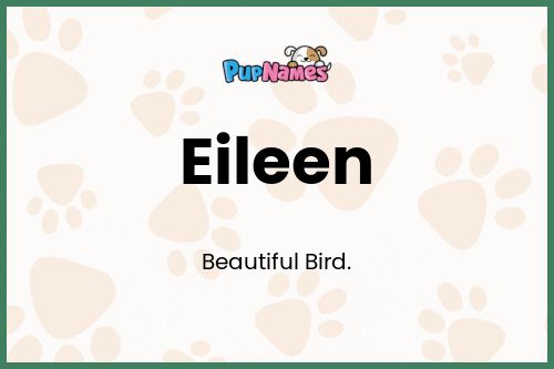 Eileen dog name meaning