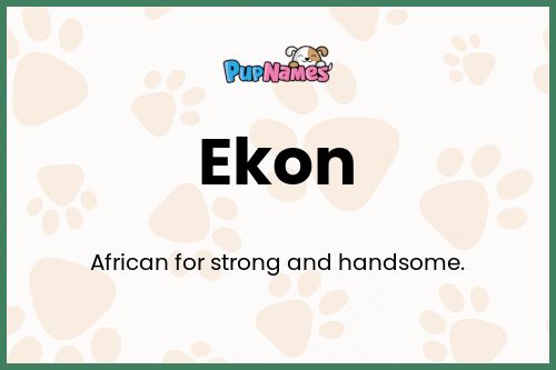 Ekon dog name meaning