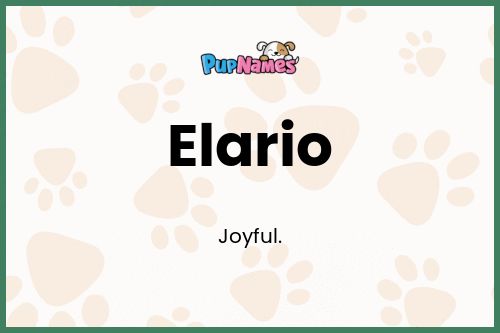 Elario dog name meaning