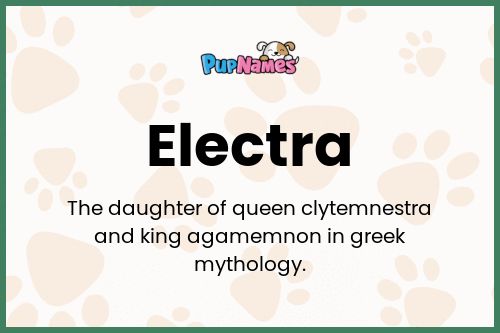 Electra dog name meaning