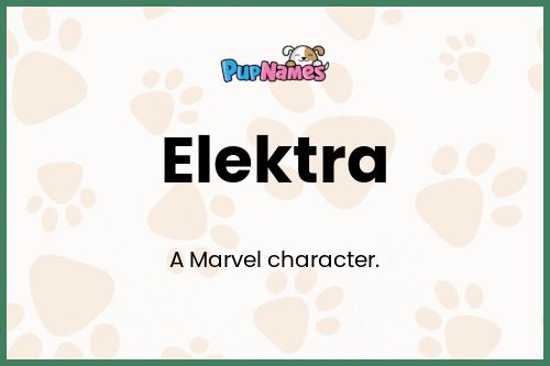 Elektra dog name meaning