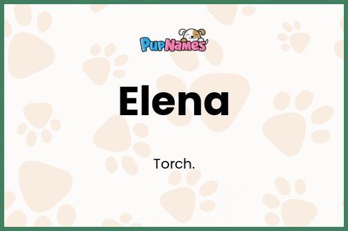 Elena dog name meaning