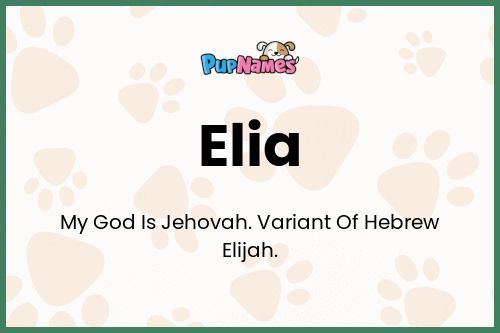 Elia dog name meaning