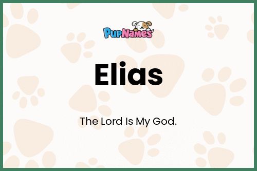 Elias dog name meaning