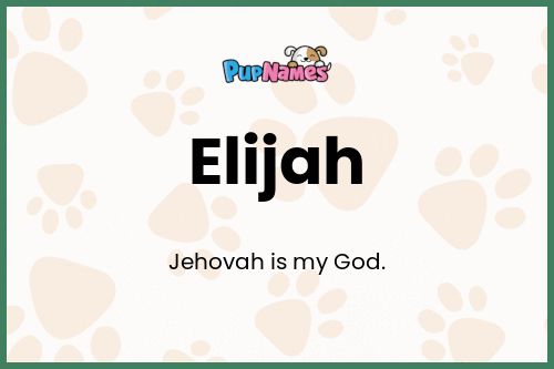 Elijah dog name meaning