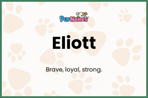 Eliott dog name meaning