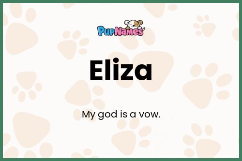 Eliza dog name meaning