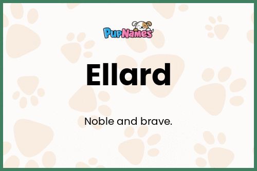 Ellard dog name meaning