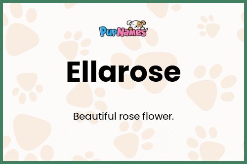 Ellarose dog name meaning