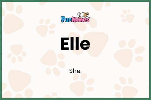 Elle dog name meaning