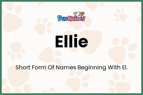 Ellie dog name meaning