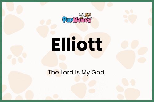 Elliott dog name meaning