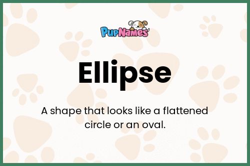 Ellipse dog name meaning