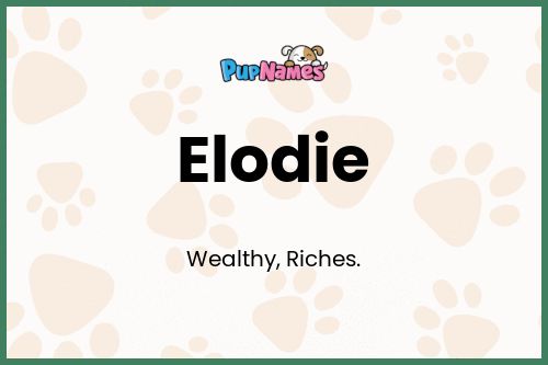 Elodie dog name meaning