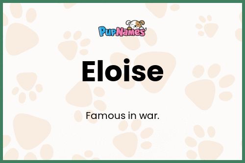 Eloise 🐶 - Dog Name Meaning & Popularity | PupNames.com™